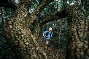 BIB: 
                            <button type="button" onclick="openModal(25393979)" class="btn btn-primary btn-sm float-right btn-popup" data-toggle="modal" data-target=".modal-high-quality">
                        <i class="fas fa-shopping-cart"></i> Add to Cart
                    </button>
                                            <button type="button" onclick="isThisMe(25393979, true)" class="btn btn-success btn-sm float-right btn-popup btn-isme hidden" data-toggle="tooltip" data-placement="bottom" title="นี่คือรูปของคุณใช่ไหม คลิกที่นี่เพื่อเอาเข้าอัลบั้ม">
                        <i class="fas fa-plus"></i> Add to album
                    </button>
                    <button type="button" onclick="isThisMe(25393979, false)" class="btn btn-warning btn-sm float-right btn-popup btn-isnotme hidden">
                        <i class="fas fa-ban"></i> Remove from album
                    </button>